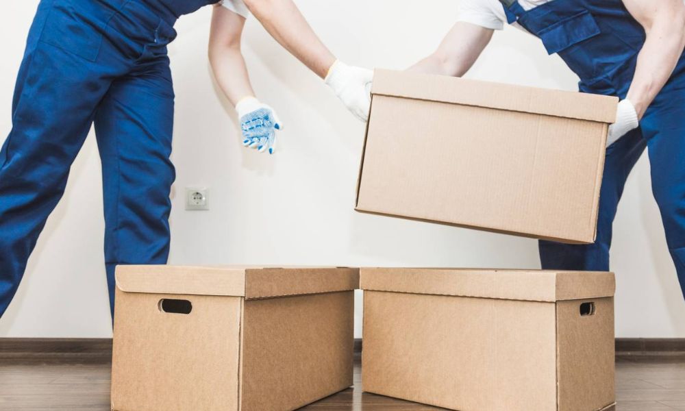 The Rise of Sparta Cheapest Packers and Movers